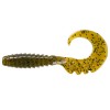 Fancy grub 1 Green Pumpkin Seed 074
