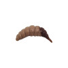 FishUp OZI 1,2 Coffee Milk/Earthworm #138
