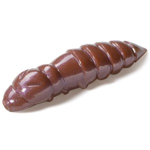 Pupa 09 Earthworm