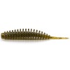 Tanta 1,5 Green Pumkin Seed 074
